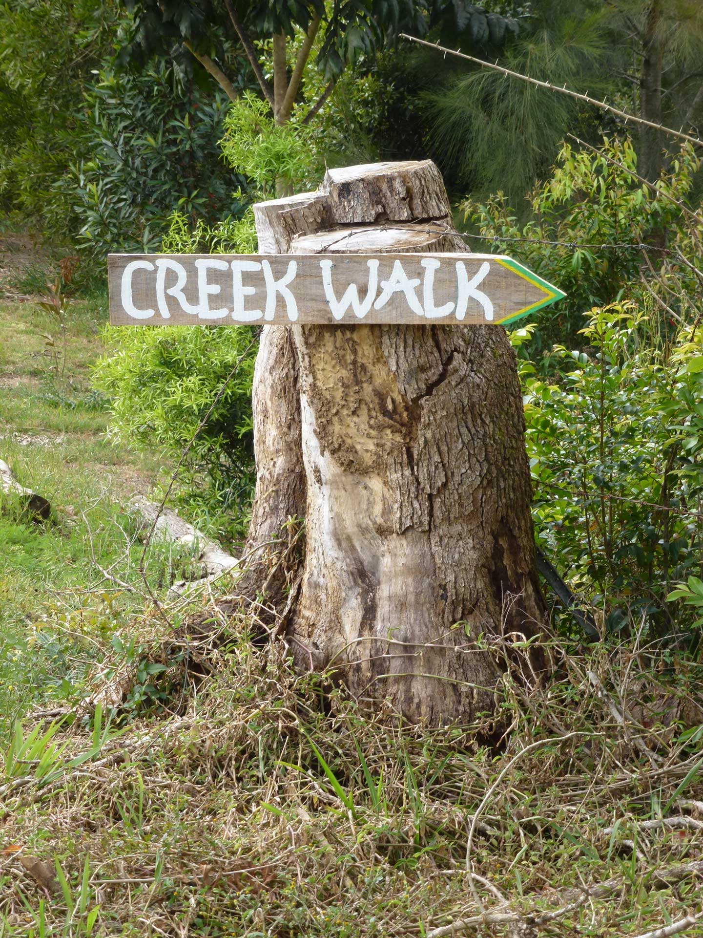 All Souls planting along the creek walk