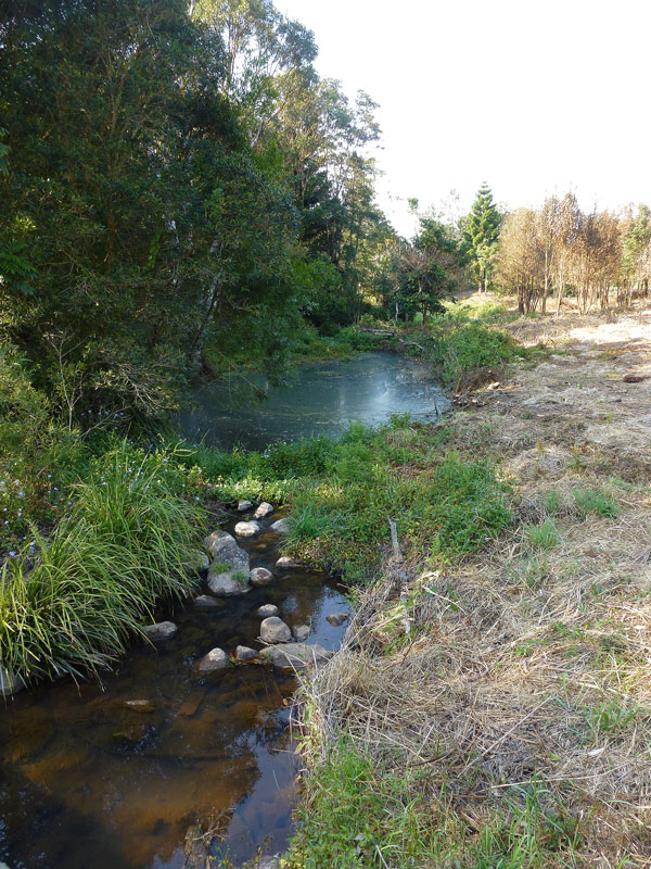 Little Maori Creek